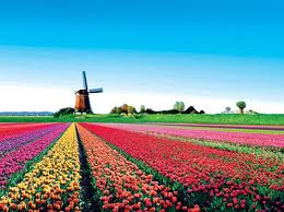 ហូឡង់និងធ្វើការបោះឆ្នោតមុនកាលកំណត់